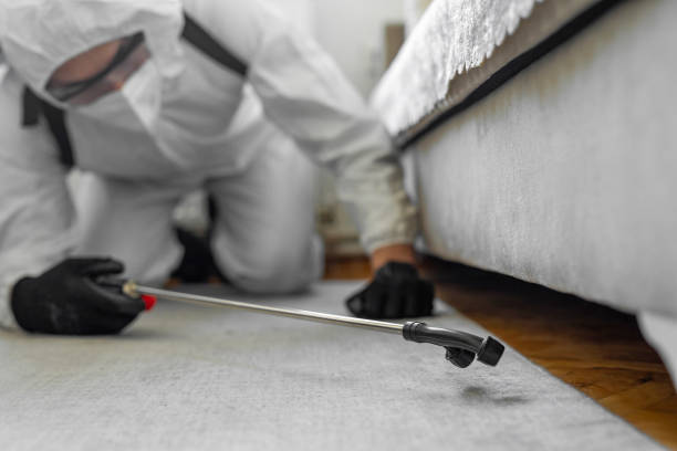 Professional Bed Bug Control technician working in Red Cloud, NE